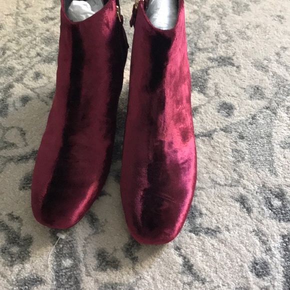 Alice + Olivia Paxton velvet ankle booties 10 40 - Picture 3 of 6
